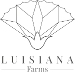luisiana
